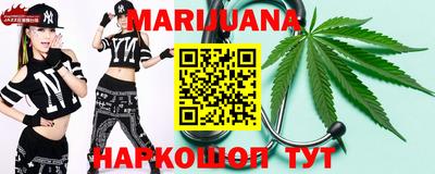 индика Дубна