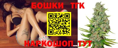 индика Дубна