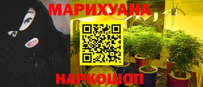 индика Дубна