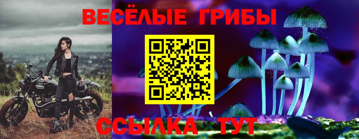 Псилоцибиновые грибы GOLDEN TEACHER Заволжье
