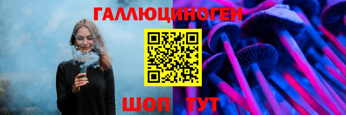 Псилоцибиновые грибы Psilocybe  Вход с VPN  Заволжье 